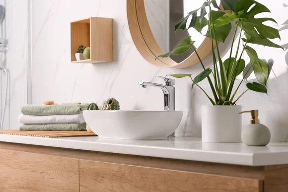 Stilvolles Waschbecken mit Pflanze